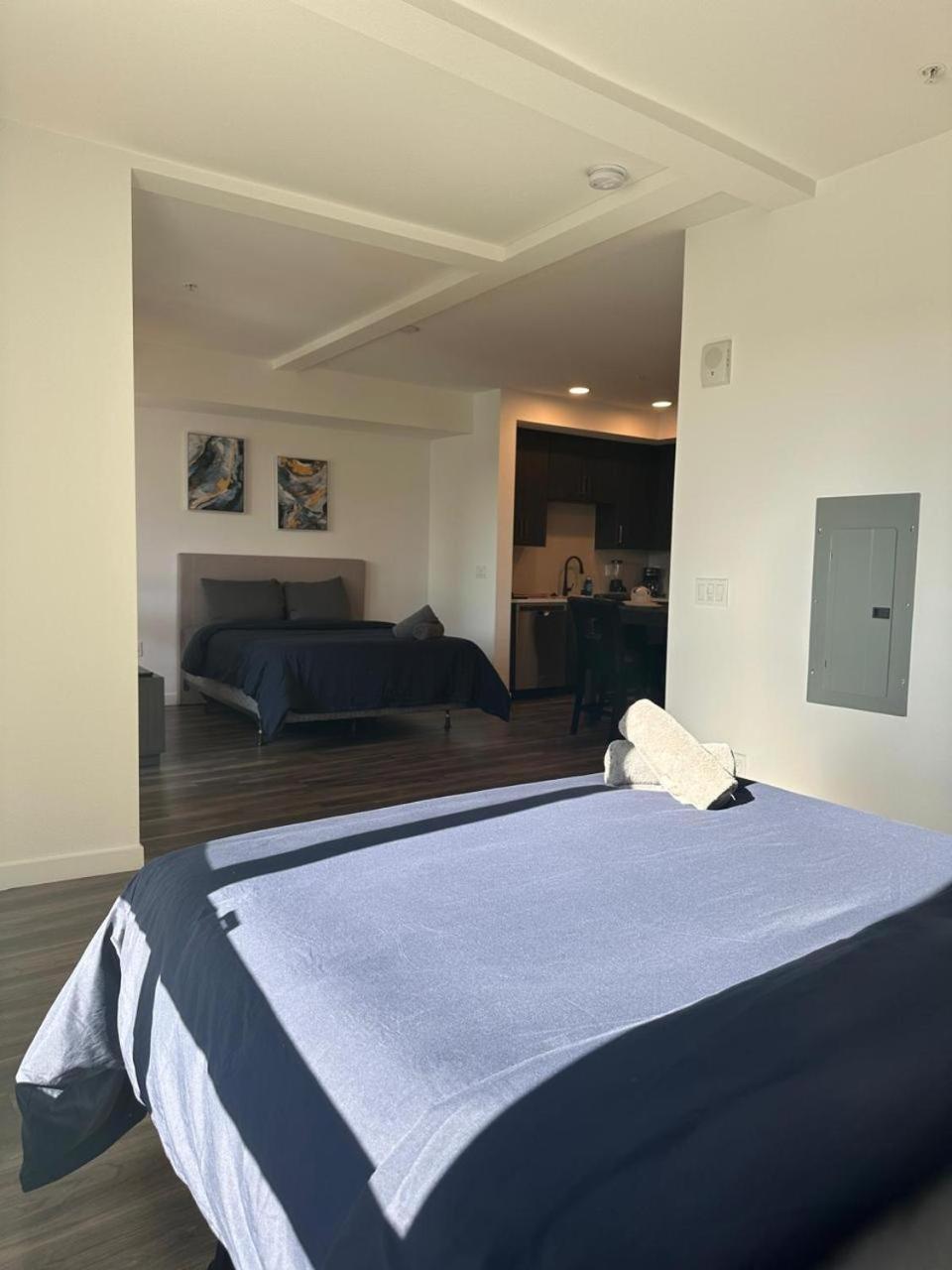 Appartamento Awesome Loft At Hollywood Free Parking